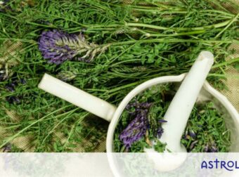 Κορονοϊός: Ποια είναι τα καλύτερα αντι-ιικά βότανα (εικόνες)