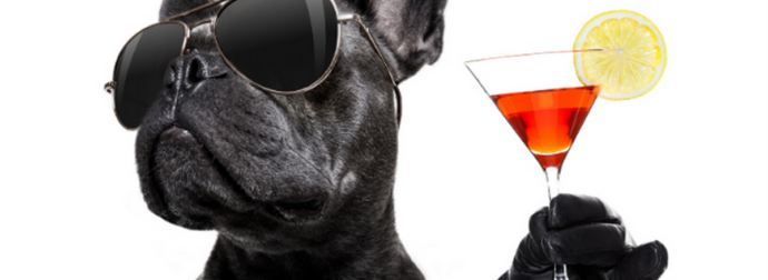 Τα 4 πιο cool κι ατάραχα ζώδια!