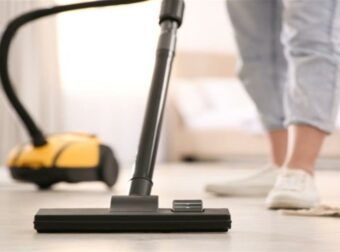 Αυτά τα ζώδια είναι εμμονικά με την καθαριότητα