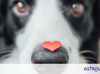 Τα 3 ζώδια που δεν μπορούν να αρνηθούν κανένα χατίρι!