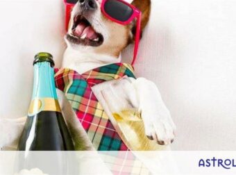 Εσείς ψηφίσατε τα ζώδια που κάνουν τα χειρότερα μεθύσια