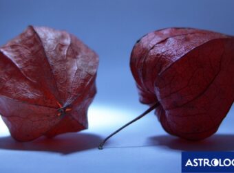 Ποια ζώδια θα ρίξουν νερό στο κρασί τους, σήμερα, 09/05;