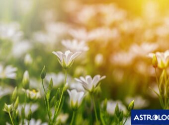 Διάβασε την προσωπική σου πρόβλεψη, για σήμερα 29/05/2025