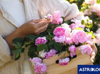 Ημερήσιες Προβλέψεις για όλα τα Ζώδια, 07/05: Βαθιές συνδέσεις και μεταμορφώσεις