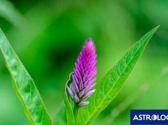 Διάβασε την προσωπική σου πρόβλεψη, για σήμερα 25/05/2025