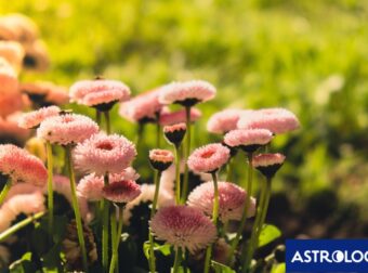 Διάβασε την προσωπική σου πρόβλεψη, για σήμερα 11/05/2025