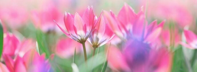 Διάβασε την προσωπική σου πρόβλεψη, για σήμερα 17/05/2025