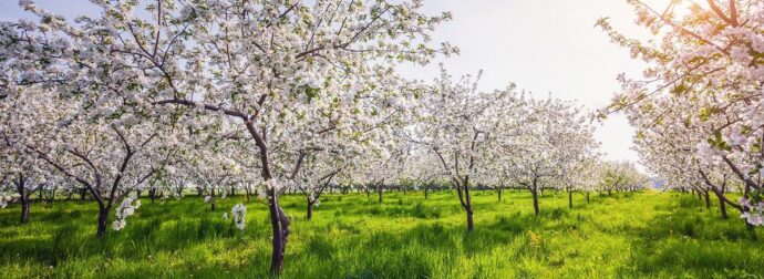 Διάβασε την προσωπική σου πρόβλεψη, για σήμερα 13/05/2025