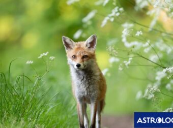 Διάβασε την προσωπική σου πρόβλεψη, για σήμερα 24/05/2025