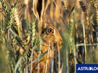 Διάβασε την προσωπική σου πρόβλεψη, για σήμερα 18/06/2025