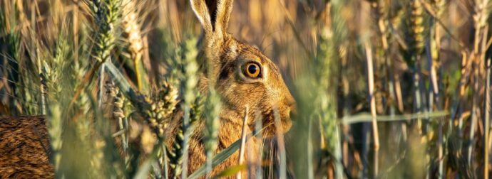Διάβασε την προσωπική σου πρόβλεψη, για σήμερα 18/06/2025