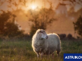 Διάβασε την προσωπική σου πρόβλεψη, για σήμερα 12/06/2025