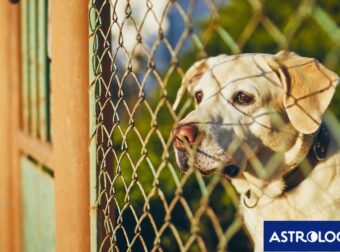 Ζώδια Σήμερα 14/06: Μην ξεμακραίνεις!