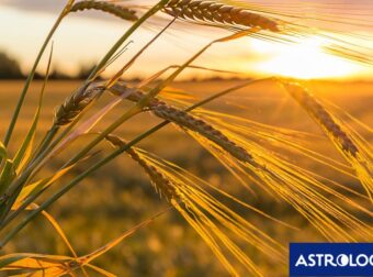 Διάβασε την προσωπική σου πρόβλεψη, για σήμερα 05/06/2025