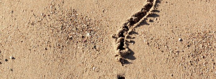 Ποιο ζώδιο σιχαίνεται το Greek Summer; Ψήφισε και πες μας