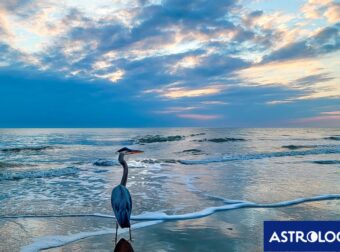 Διάβασε την προσωπική σου πρόβλεψη, για σήμερα 26/06/2025