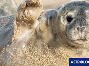 Διάβασε την προσωπική σου πρόβλεψη, για σήμερα 30/06/2025
