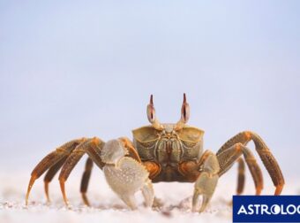 Διάβασε την προσωπική σου πρόβλεψη, για σήμερα 20/06/2025