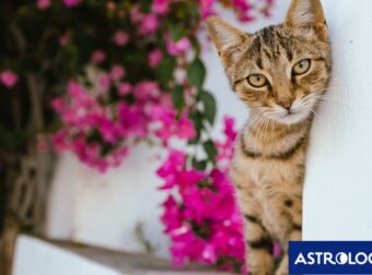 Διάβασε την προσωπική σου πρόβλεψη, για σήμερα 28/06/2025