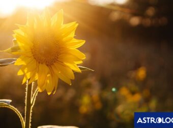 Διάβασε την προσωπική σου πρόβλεψη, για σήμερα 03/06/2025