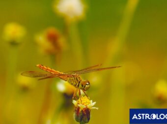 Διάβασε την προσωπική σου πρόβλεψη, για σήμερα 14/06/2025