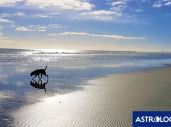 Διάβασε την προσωπική σου πρόβλεψη, για σήμερα 04/06/2025