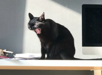 Ο χειρότερος μήνας του 2025: Τα 2 πιο άτυχα ζώδια του Ιουνίου που τα έχουν ήδη βρει σκούρα