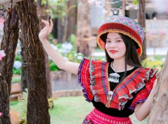 Το Σύμπαν μιλά: Ανακάλυψε το ζώδιό σου μέσα από το Ιαπωνικό ωροσκόπιο