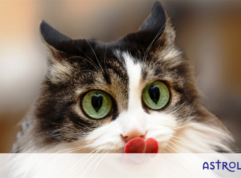 Έχεις Αφροδίτη σε Κριό, Λέοντα ή Τοξότη; Αυτός ο τύπος σχέσης σε τραβάει