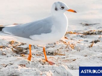 Διάβασε την προσωπική σου πρόβλεψη, για σήμερα 07/06/2025