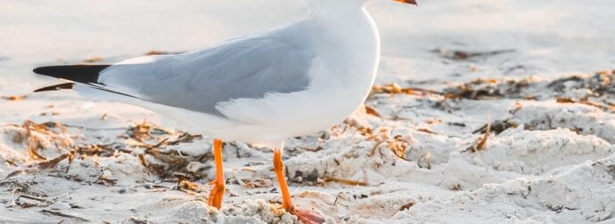 Διάβασε την προσωπική σου πρόβλεψη, για σήμερα 07/06/2025
