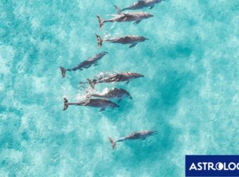 Διάβασε την προσωπική σου πρόβλεψη, για σήμερα 22/06/2025