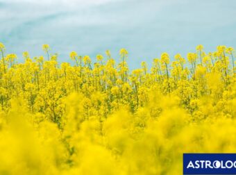 Διάβασε την προσωπική σου πρόβλεψη, για σήμερα 01/06/2025