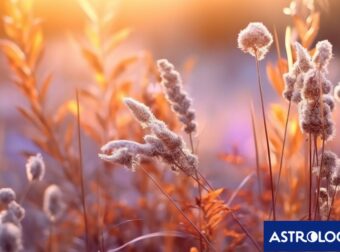 Διάβασε την προσωπική σου πρόβλεψη, για σήμερα 21/06/2025