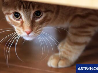 Ποια ζώδια θα είναι πιο επιφυλακτικά και συγκρατημένα, σήμερα, 07/07;