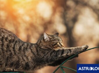 Διάβασε την προσωπική σου πρόβλεψη, για σήμερα 10/07/2025
