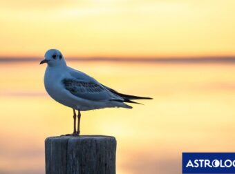 Διάβασε την προσωπική σου πρόβλεψη, για σήμερα 26/07/2025