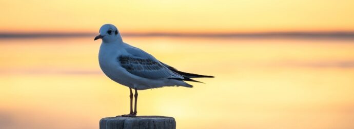 Διάβασε την προσωπική σου πρόβλεψη, για σήμερα 26/07/2025