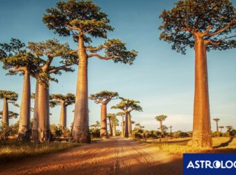 Διάβασε την προσωπική σου πρόβλεψη, για σήμερα 25/07/2025