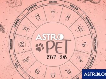 AstroPet από 27/07 έως 02/08: Εβδομαδιαίες προβλέψεις για το κατοικίδιό σου