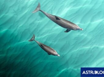 Διάβασε την προσωπική σου πρόβλεψη, για σήμερα 24/07/2025