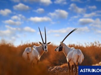 Διάβασε την προσωπική σου πρόβλεψη, για σήμερα 28/07/2025