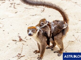 Διάβασε την προσωπική σου πρόβλεψη, για σήμερα 02/07/2025