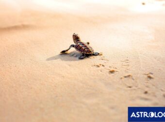 Διάβασε την προσωπική σου πρόβλεψη, για σήμερα 06/07/2025