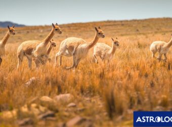 Διάβασε την προσωπική σου πρόβλεψη, για σήμερα 14/07/2025