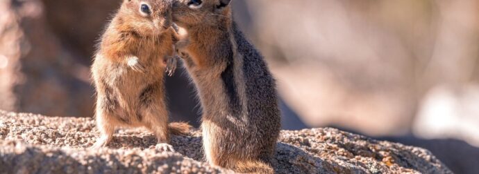 Διάβασε την προσωπική σου πρόβλεψη, για σήμερα 08/07/2025