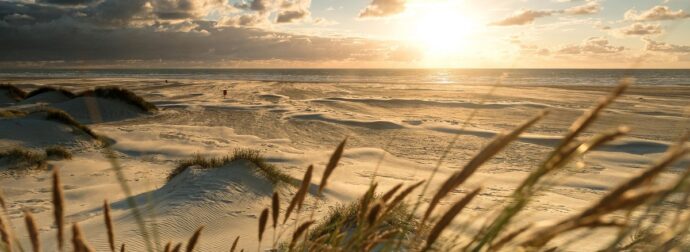 Διάβασε την προσωπική σου πρόβλεψη, για σήμερα 19/07/2025