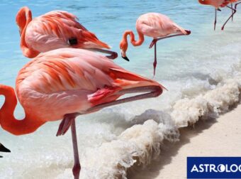 Διάβασε την προσωπική σου πρόβλεψη, για σήμερα 12/07/2025