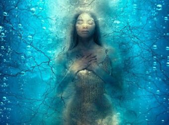 Τα ζώδια του νερού είναι τέλεια! λόγοι για τους οποίους τα λατρεύουμε!