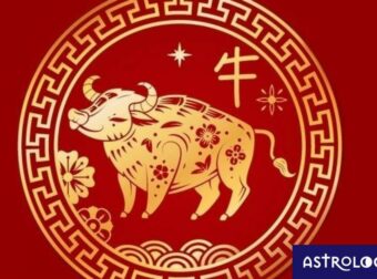 Είσαι Βούβαλος στο Κινέζικο; Πώς και γιατί διαφοροποιείσαι, ανάλογα με το δυτικό ζώδιό σου;
